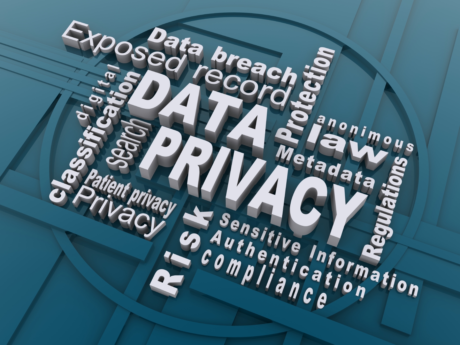 Data Privacy Image