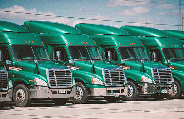 A lineup of half a dozen green semi trucks.