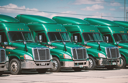 A row of green semi trucks