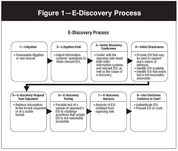 e-Discovery Process - Electronically Stored Information (ESI) Expert